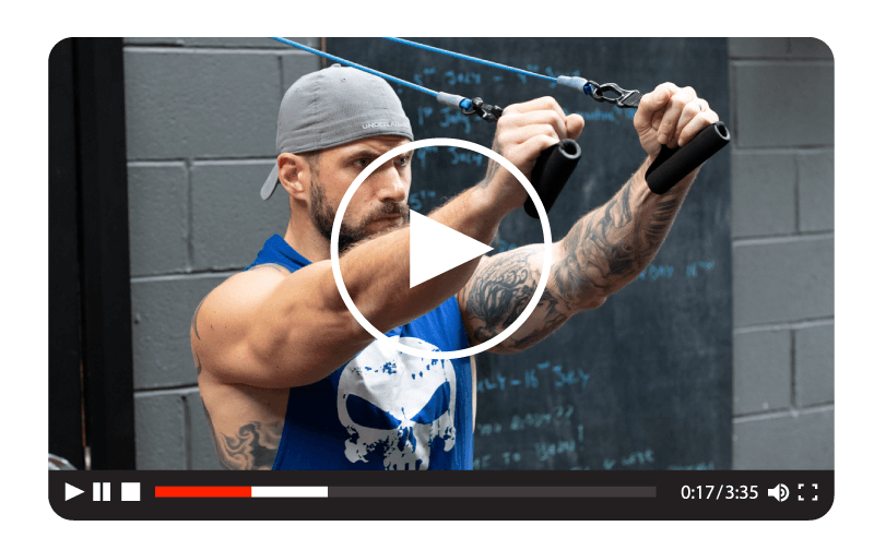 Zeus resistance band discount workout