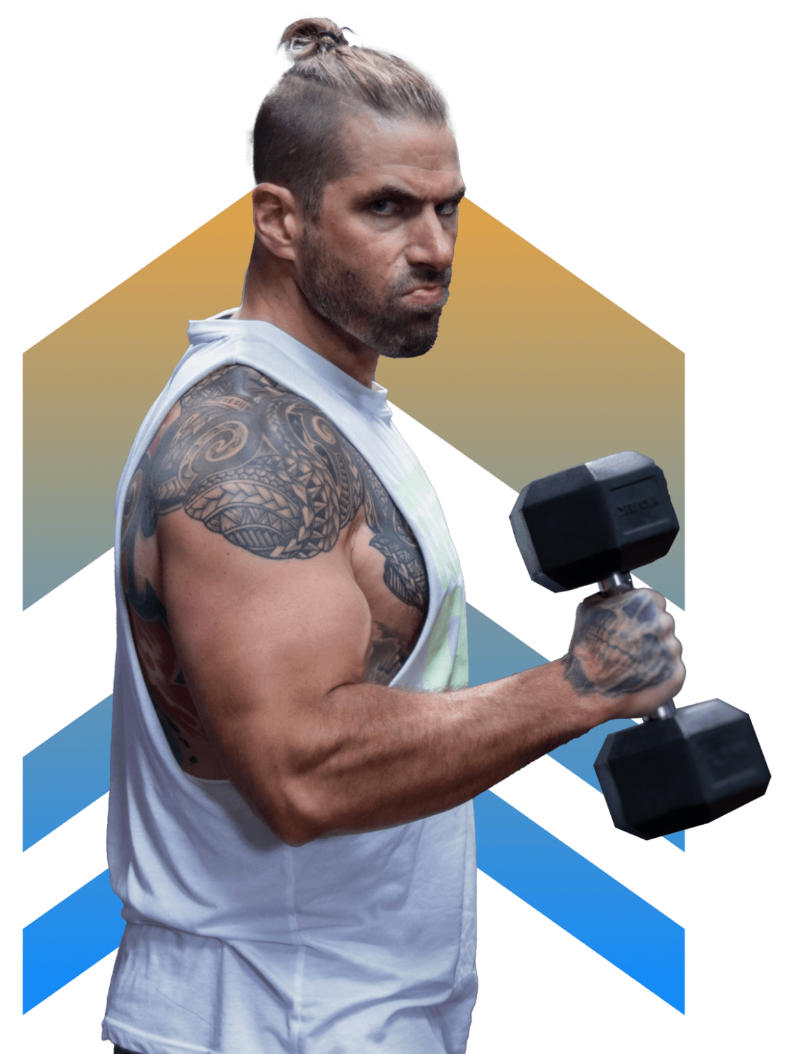 Zeus Fitness – Lift